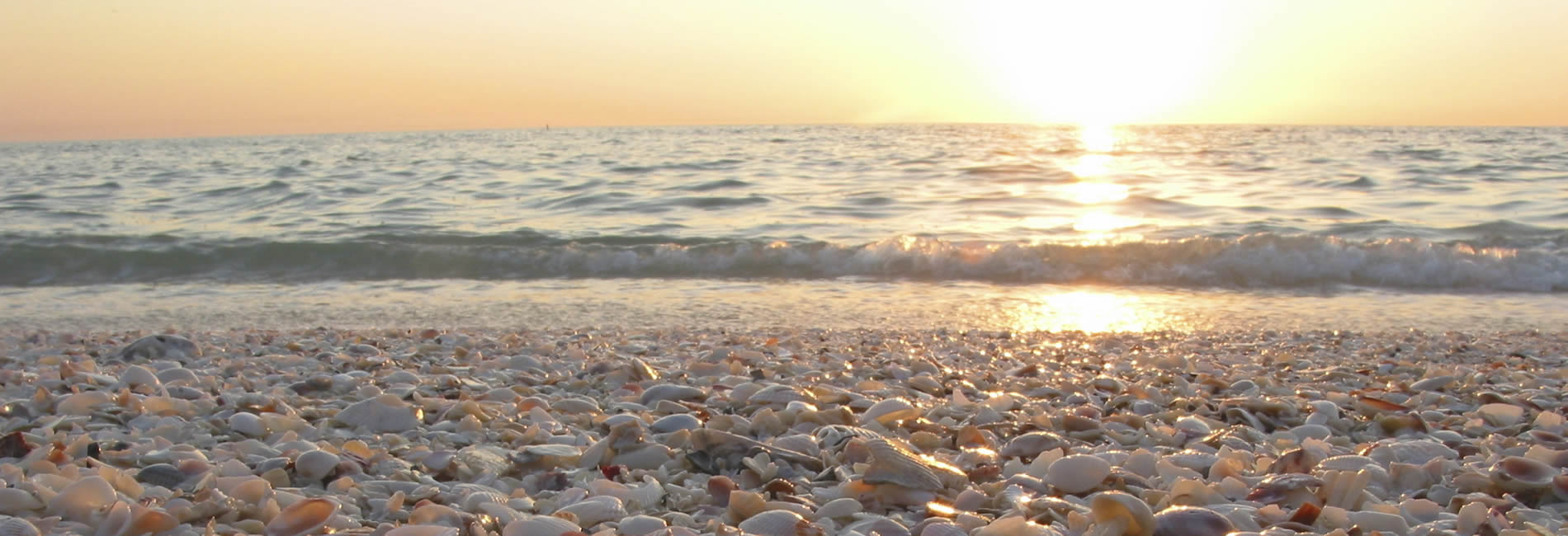 Beach with shells